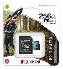 KIN MICRO GO PLUS 256GB C10/ KINGSTON MICRO SD GO PLUS 256GB CLASE 10