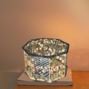 LAMP TULIPANES 1128 1 / LAMPARA TULIPANES 1128-1 HEXAGONAL